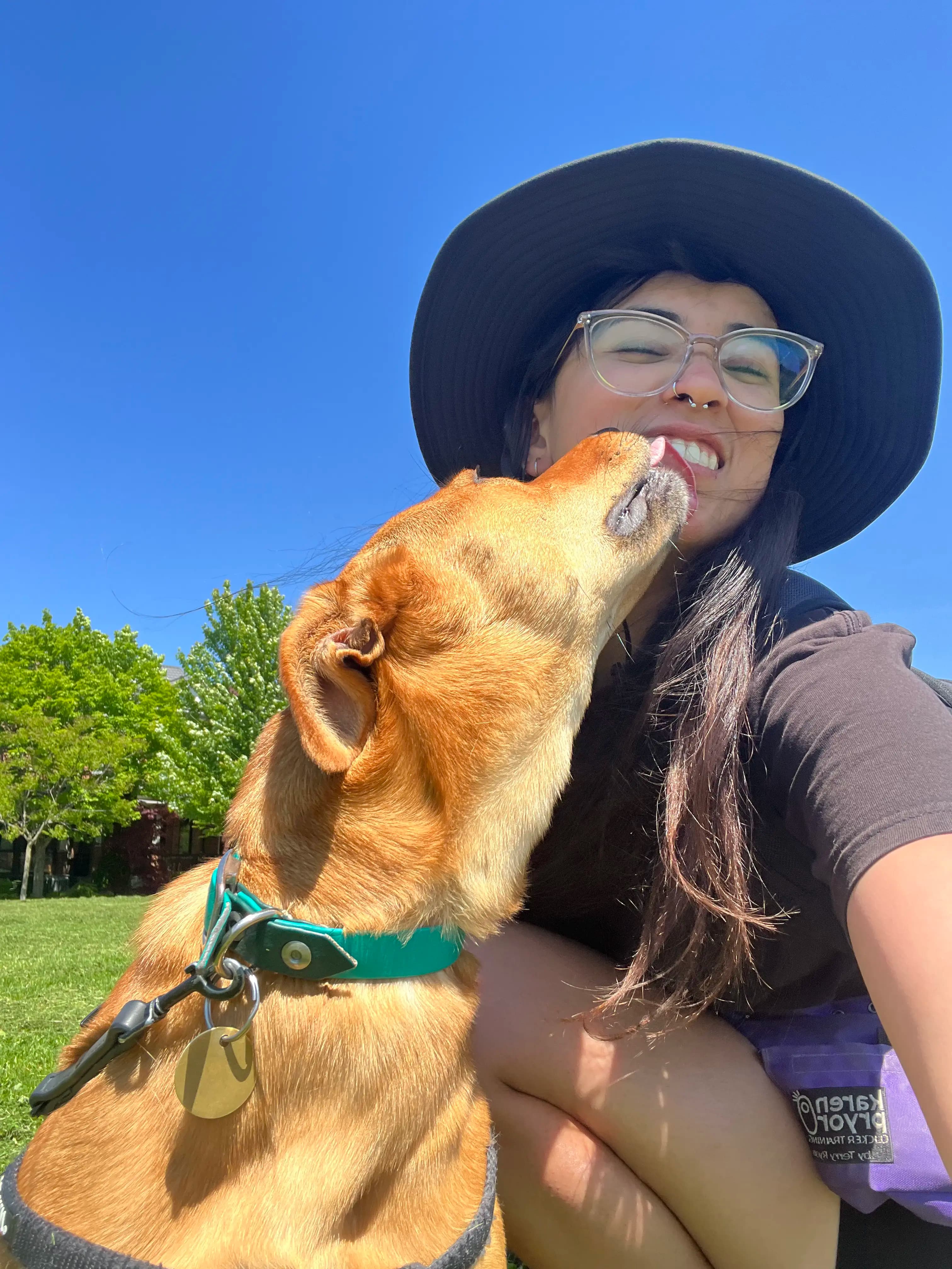 Ashley, Owner & Dog Walker