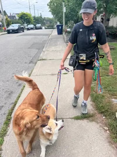 Wandering Tails dog walking photo 7 (East York)